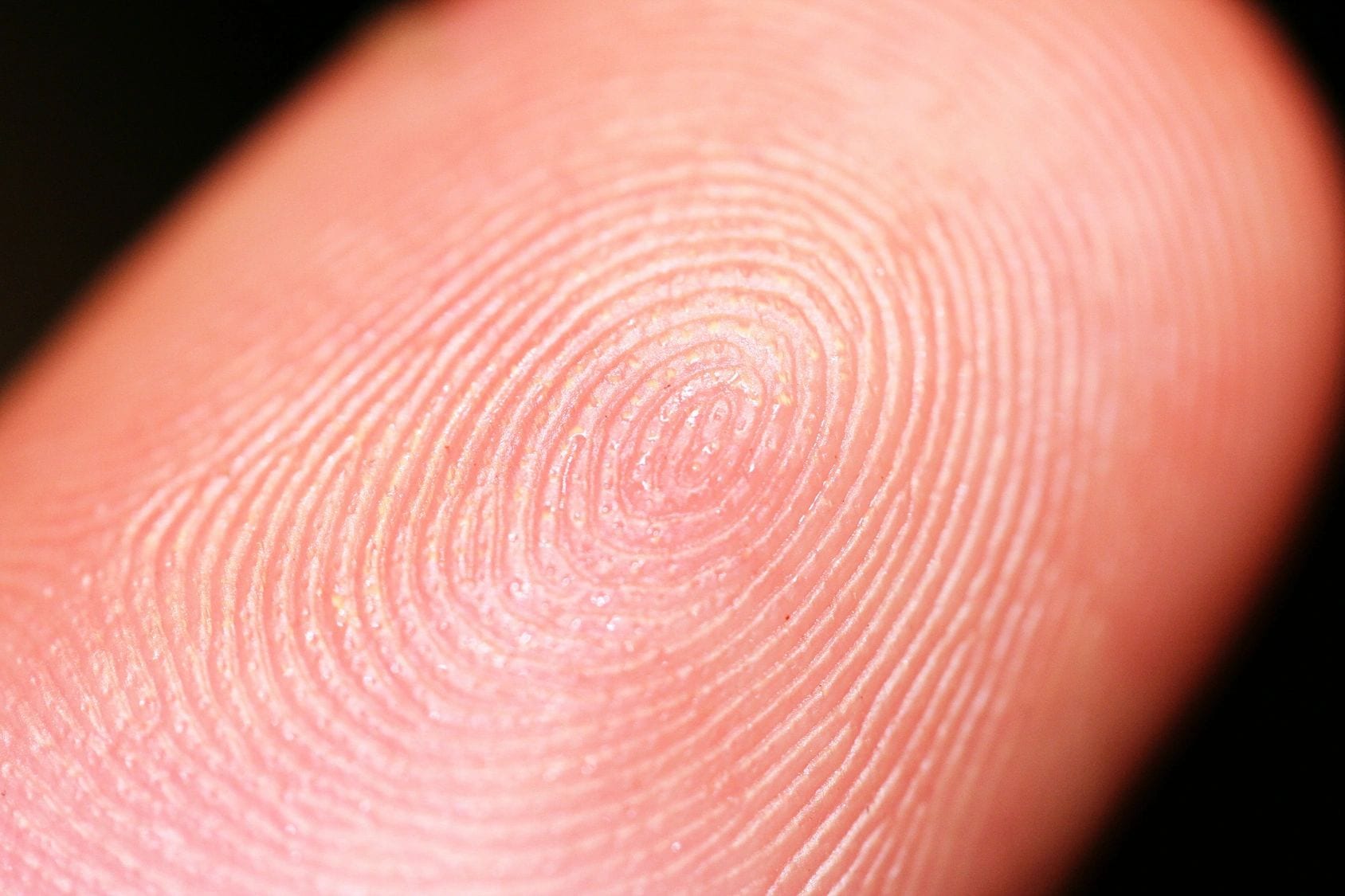 A close up of the finger print on someone 's hand.